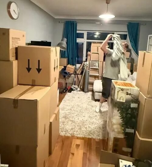 boxes